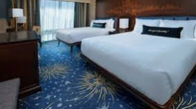 迪士尼乐园酒店主图