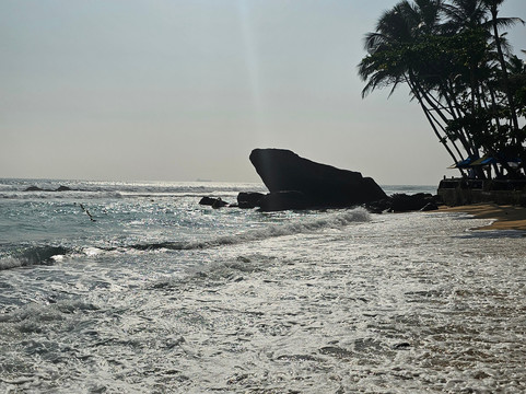 Sri Lanka Tourist Driver-Gampaha必去景点