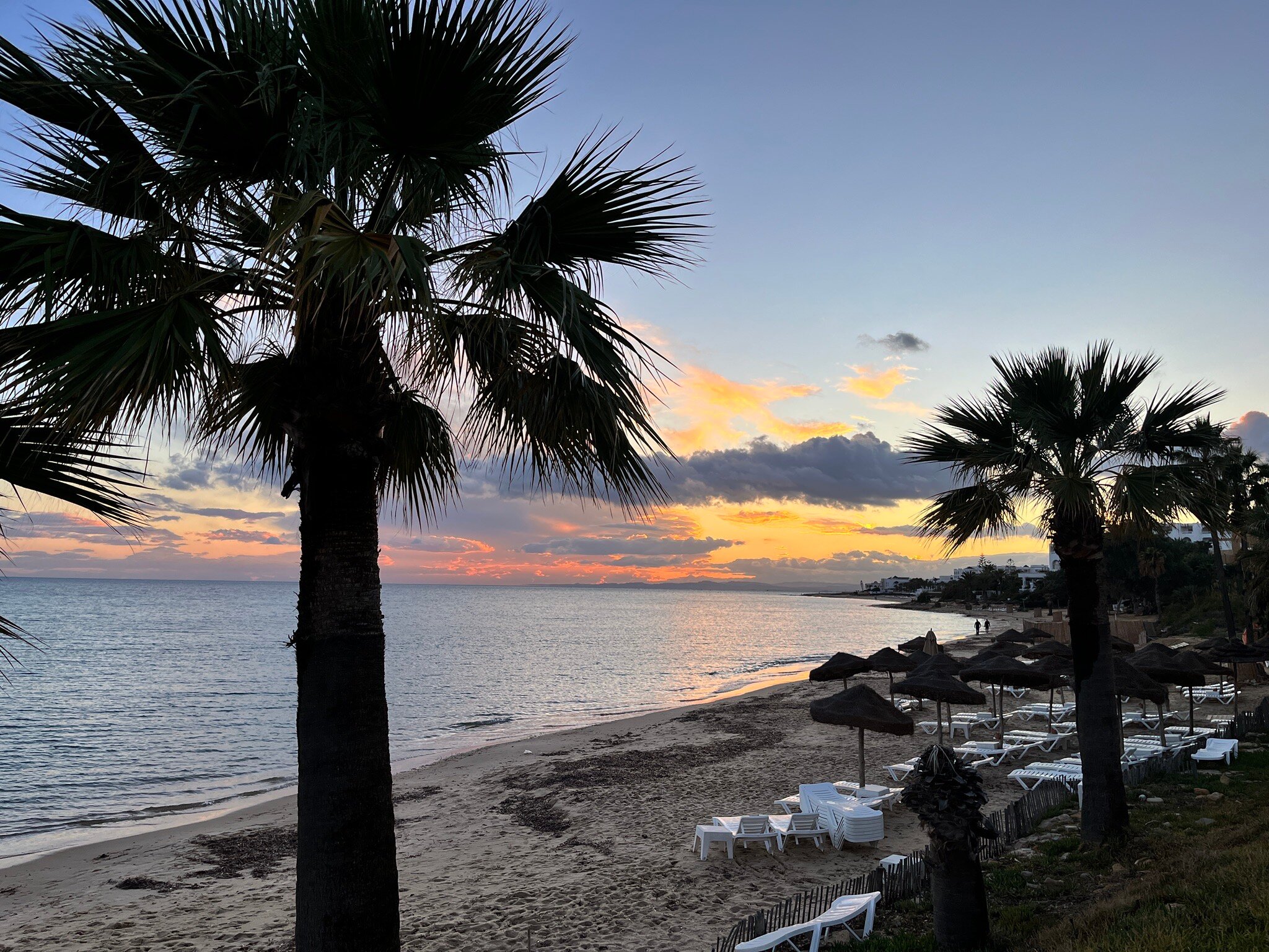 TUI BLUE Palm Beach Hammamet-官方
