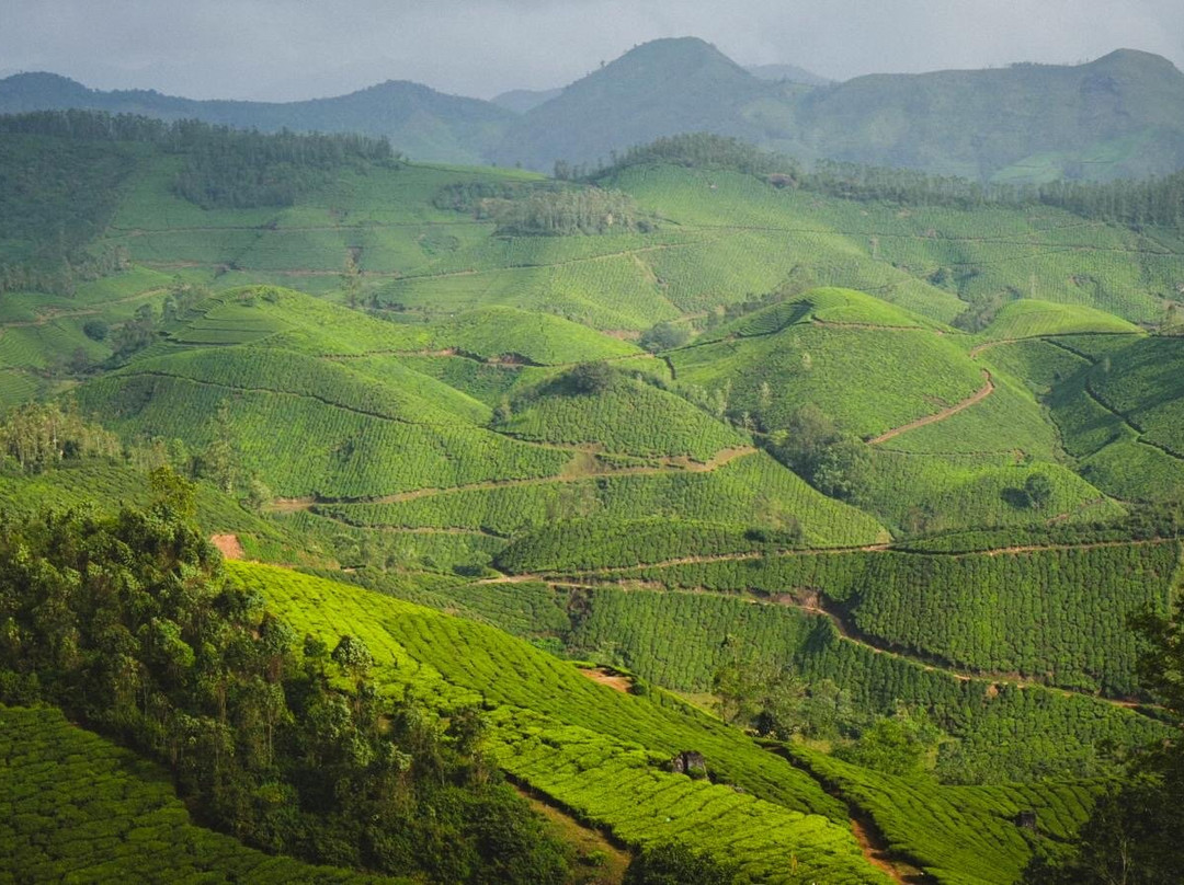 Munnar Trekking Adventure-慕那尔必去景点