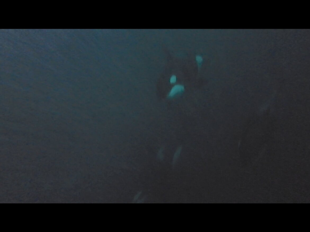 Lofoten Opplevelser-霍宁斯沃格必去景点