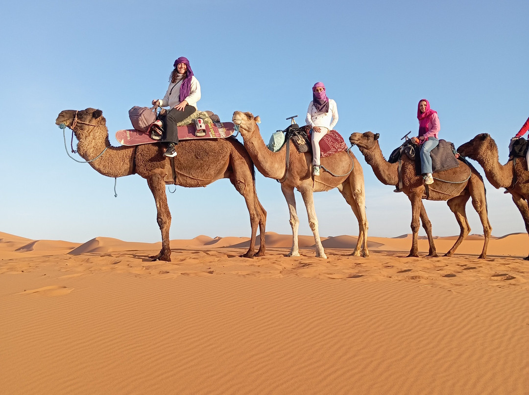 Tour en Marruecos-马拉喀什必去景点