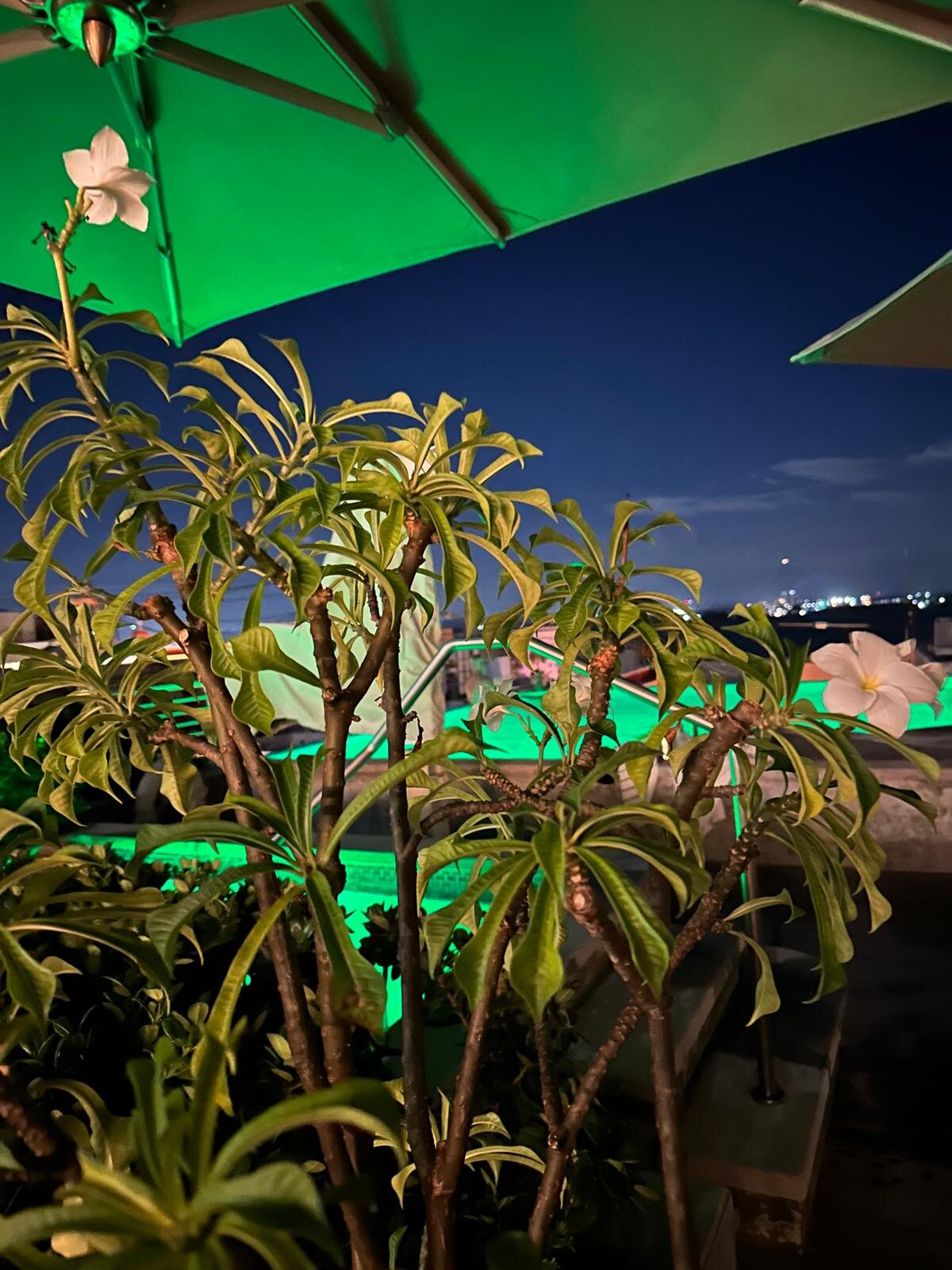 圣约翰省宫殿 - 希尔顿 Curio 精选系列酒店-浴室