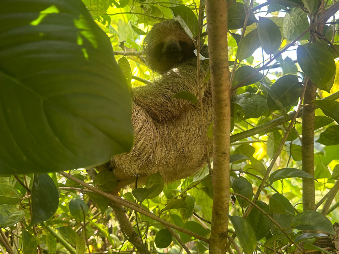Blessing Tours-Area de Conservacion Guanacaste必去景点