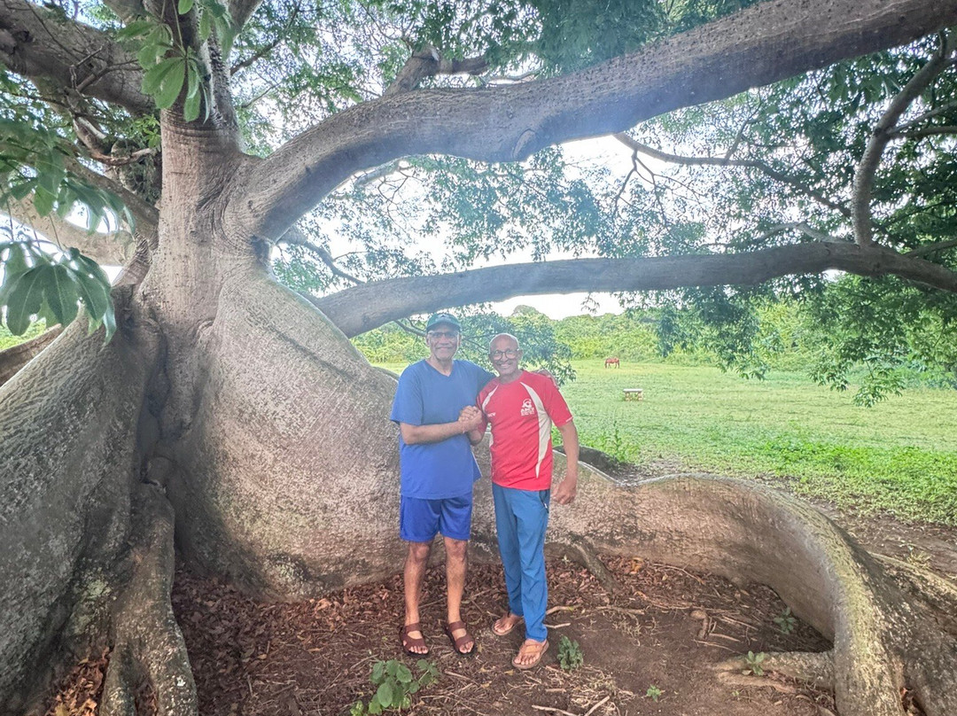Abe's Snorkeling and BioBay Tours-维切克岛必去景点