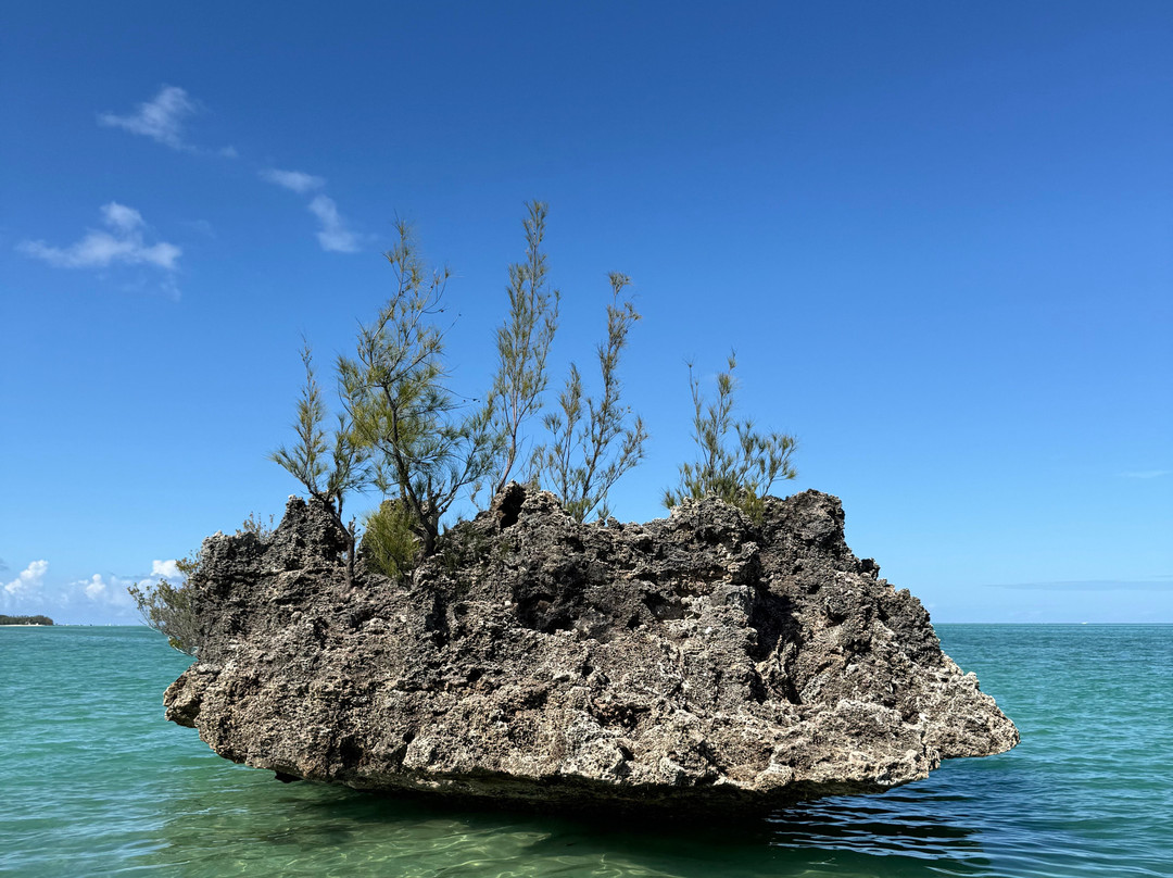 Vitamin Sea-黑河必去景点