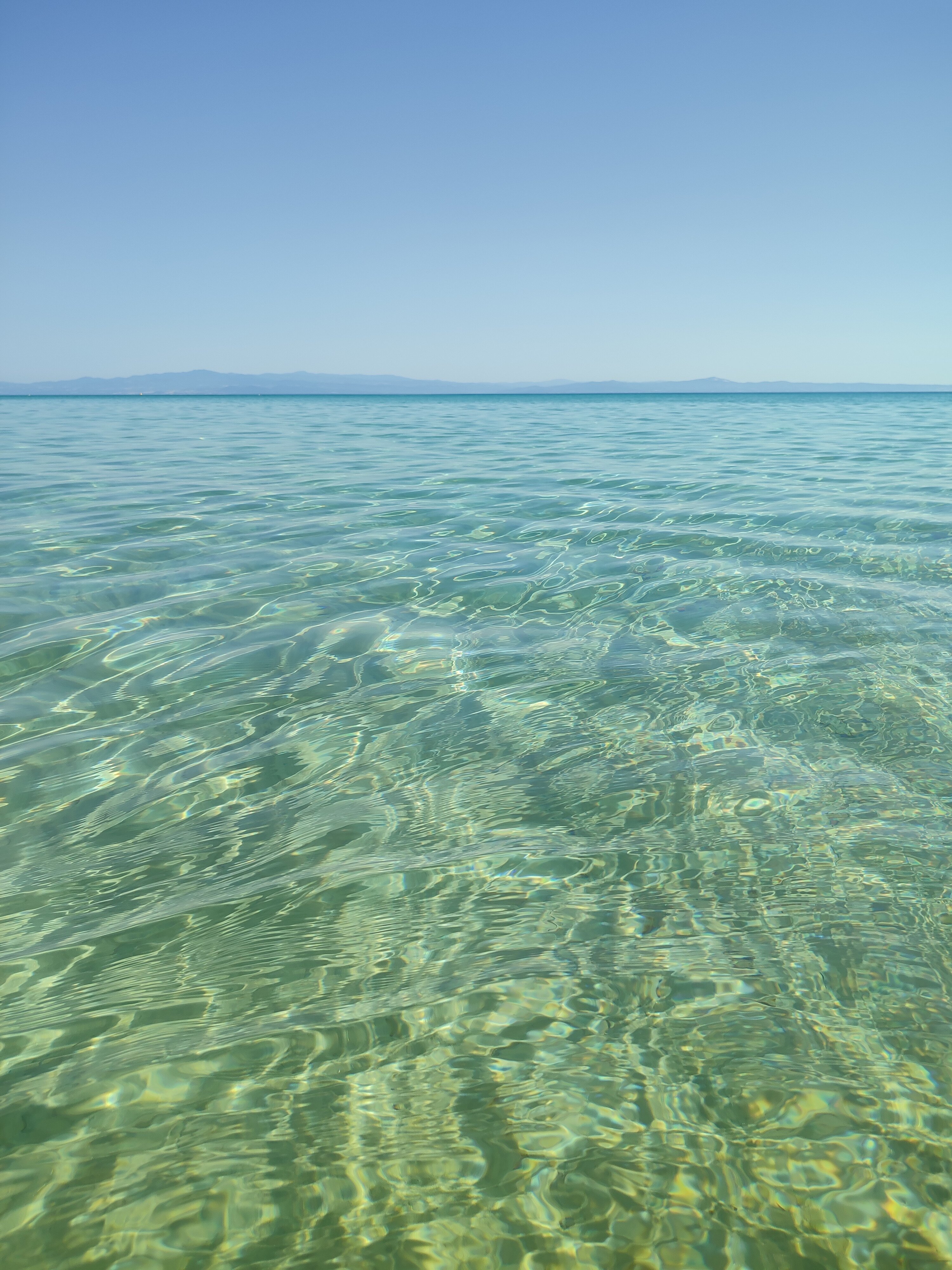 Canvas by Mitsis Alexander The Great-泳池