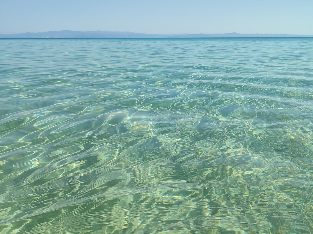 Canvas by Mitsis Alexander The Great主图