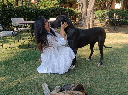 Jhadol Safari Resort主图