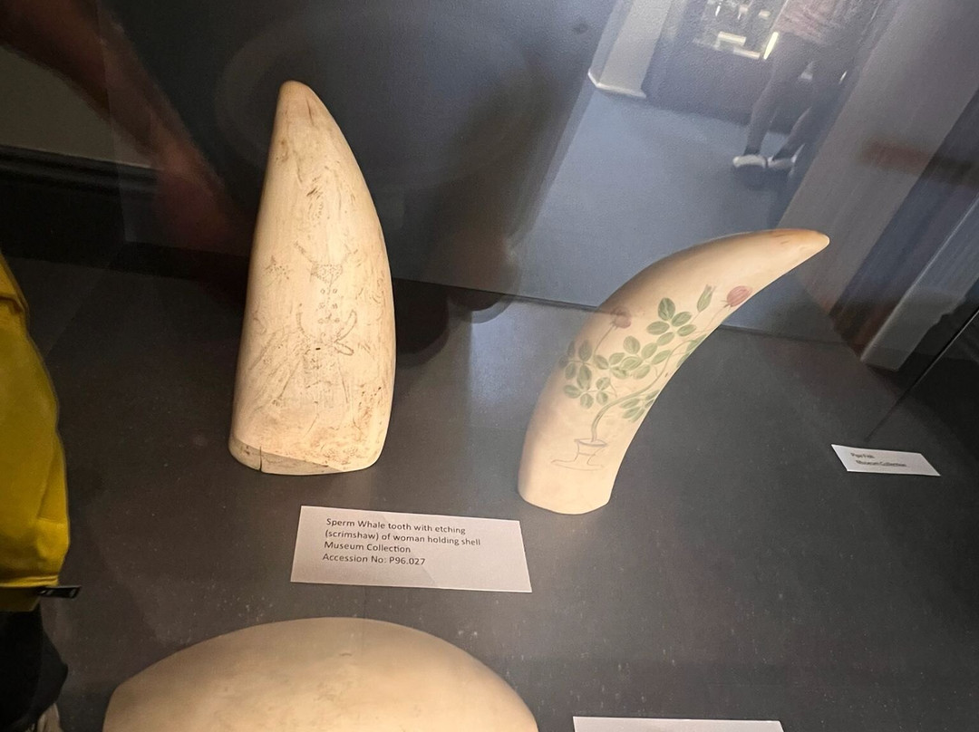 Hokitika Museum-霍基蒂卡必去景点