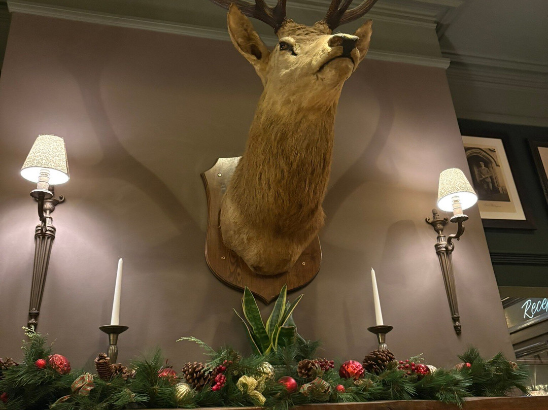 富勒白鹿酒店主图