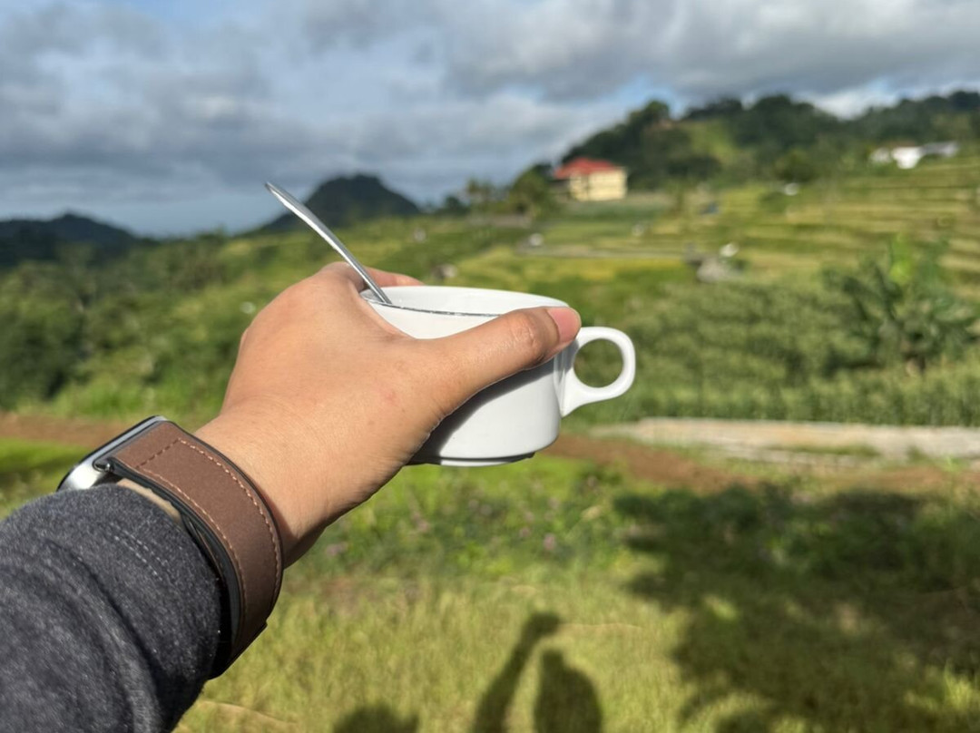 Rumah Atsiri Indonesia-Tawangmangu必去景点