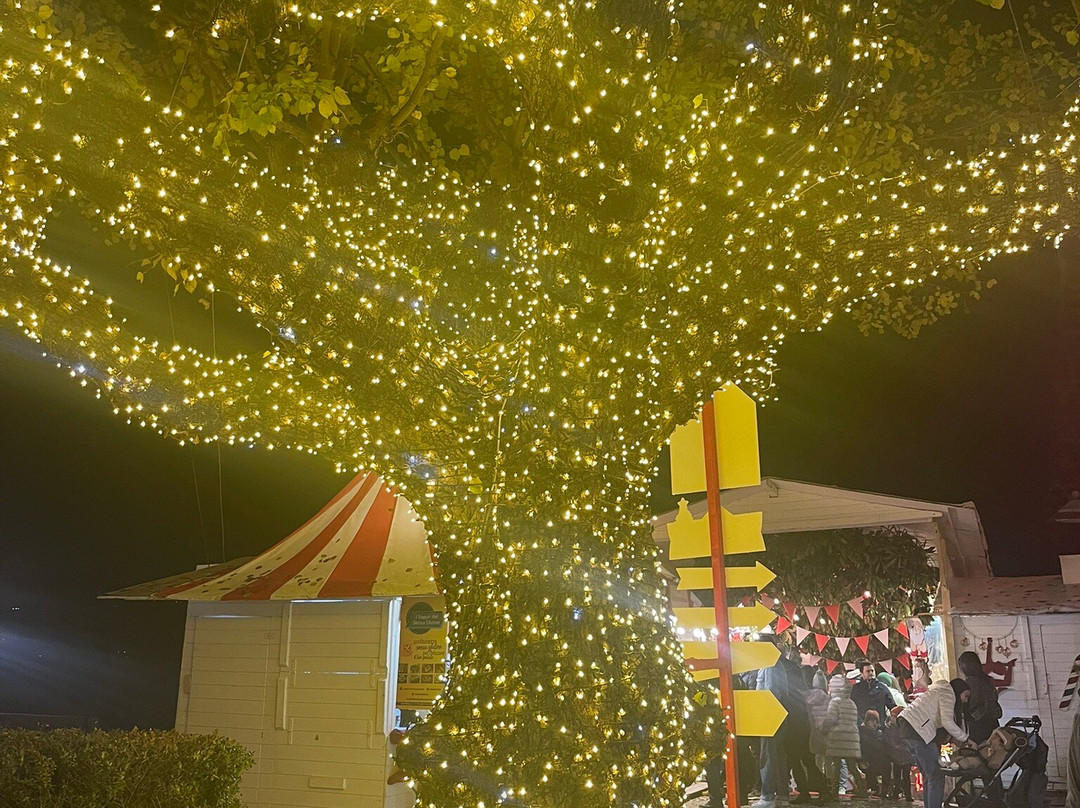 Castello di Limatola-Limatola必去景点