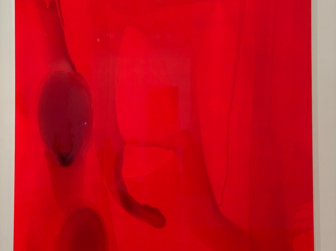 The Ian Potter Centre: NGV Australia-墨尔本必去景点