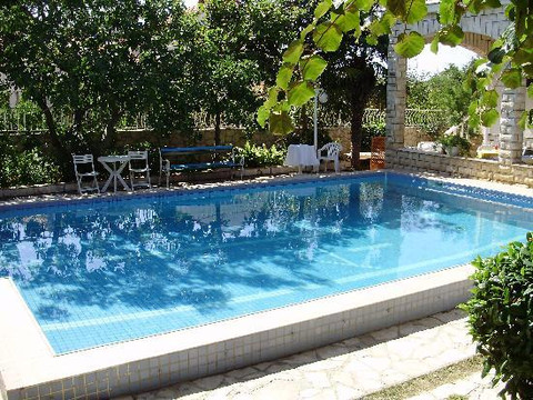 Pansion  Albin主图