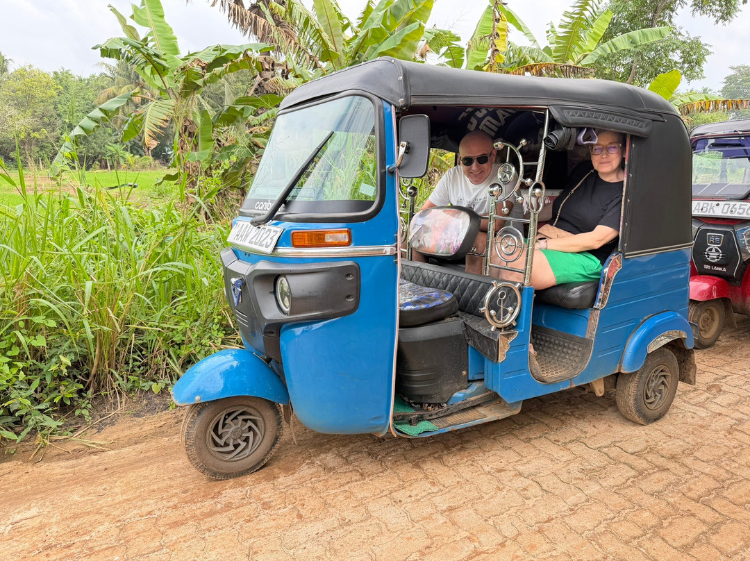 Excellent Lanka With Madu-卡图纳耶克必去景点