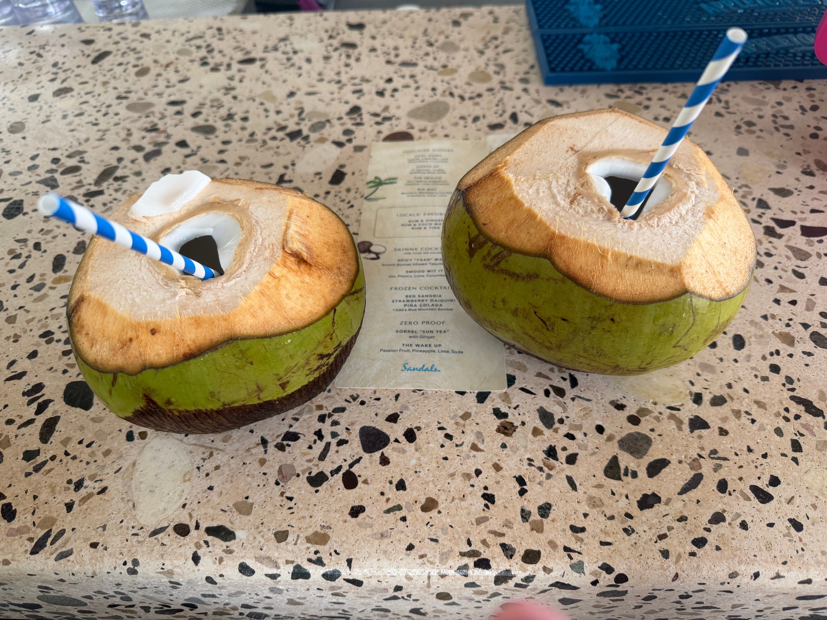 Sandals Dunn's River-泳池