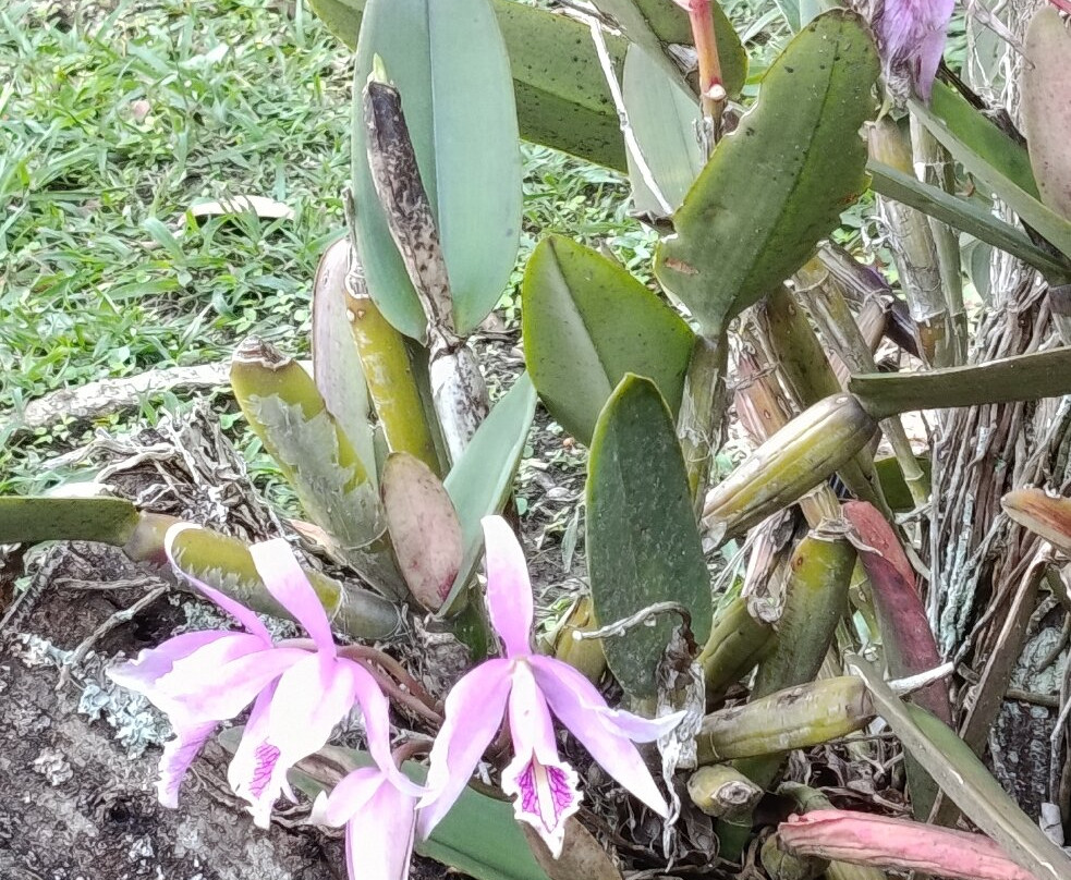 Hosteria Izhcayluma Spa-Vilcabamba必去景点