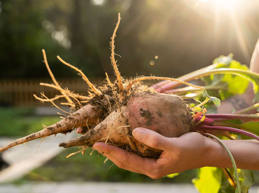 曼特拉海滨大道酒店主图