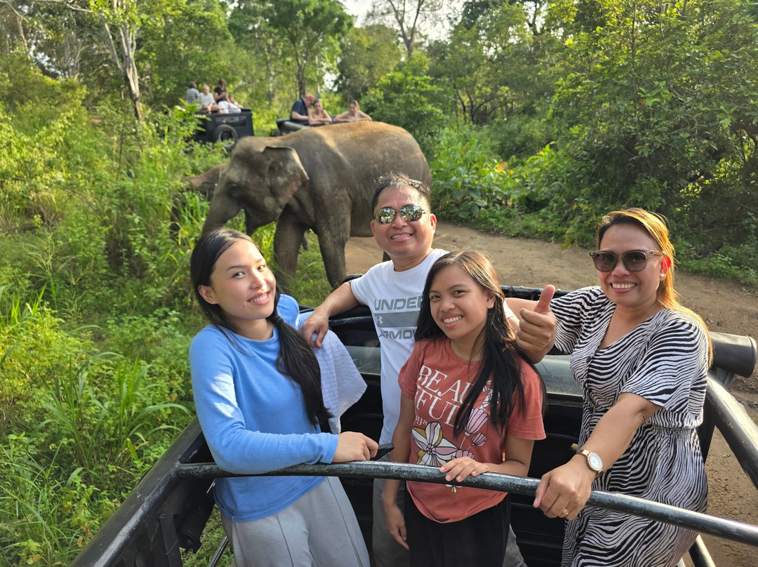 Wild Elephant Safari & Adventures-哈巴拉娜必去景点