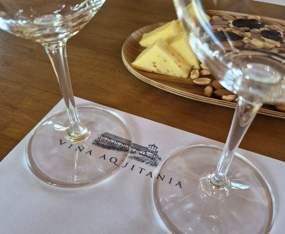 Vina Aquitania-圣地亚哥必去景点