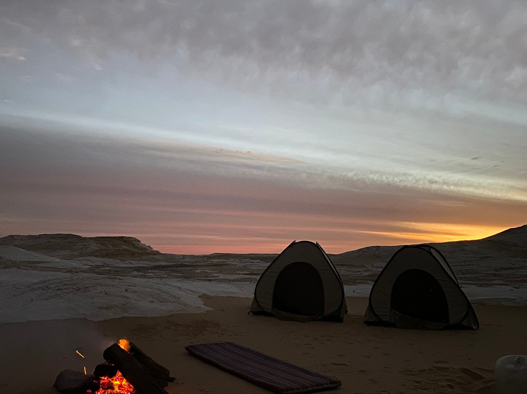 Bahariya Oasis Desert-Bahariya Oasis必去景点