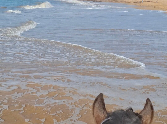 Mogador Horse-Diabat必去景点