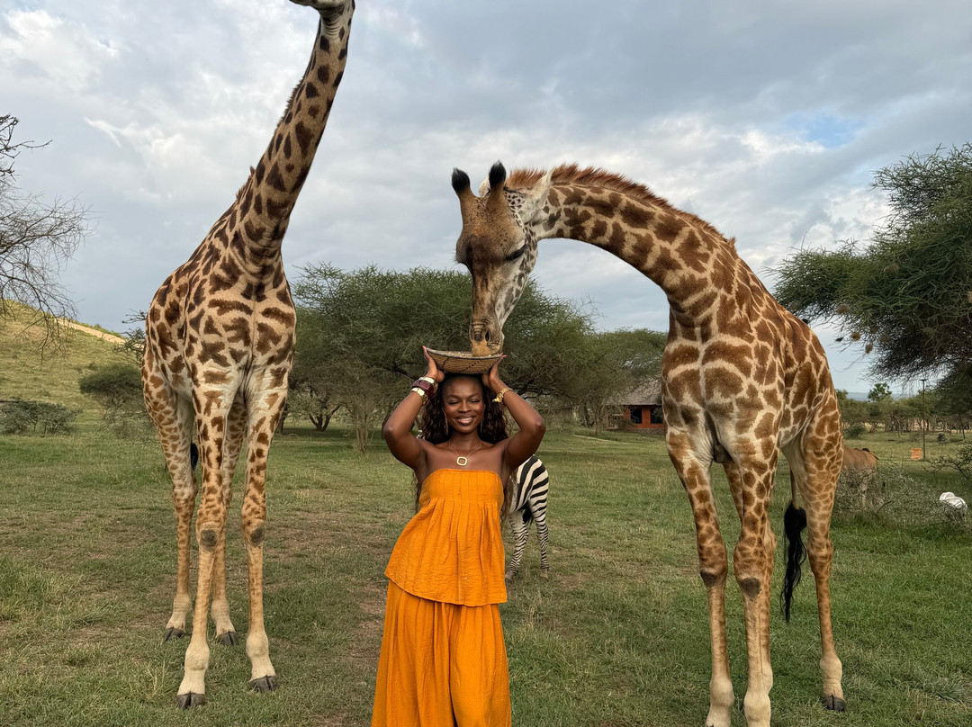 Kolekole Zanzibar Tour And Safaris-Unguja City必去景点