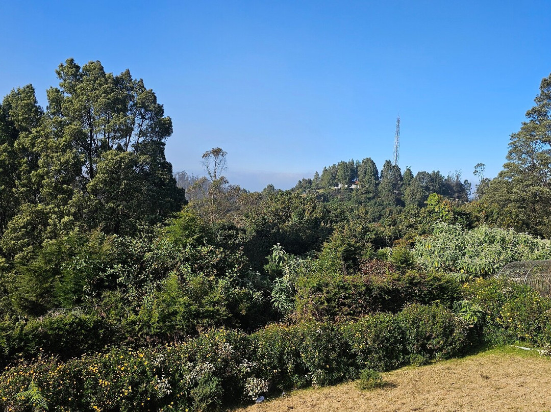 Doddabetta Peak-乌提必去景点