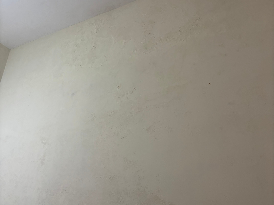 Aranyakam Homestay主图