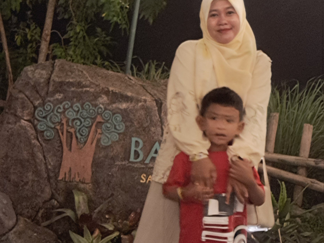 Baobab Safari Resort主图