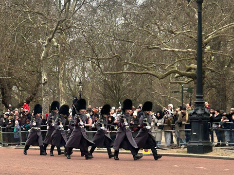 See The Sights Tours-伦敦必去景点