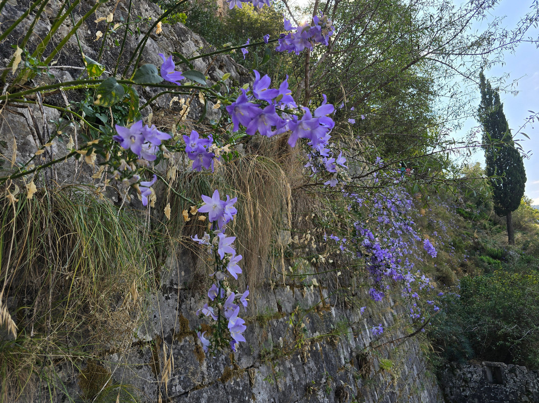 Kotor Fortress-Spiljari必去景点