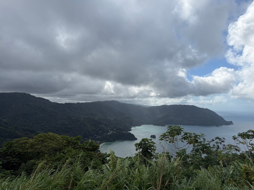 Eureka Natural History Tours-斯卡伯勒必去景点