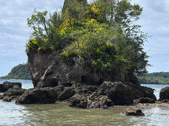 Sol Ecoturismo Itacaré-Itacare必去景点