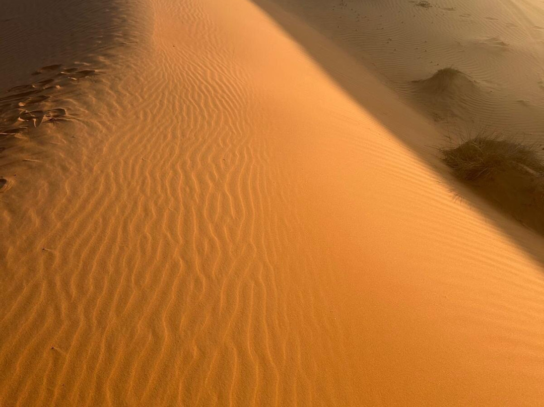 Muscat Nature Tours - Day Tours-马斯喀特必去景点