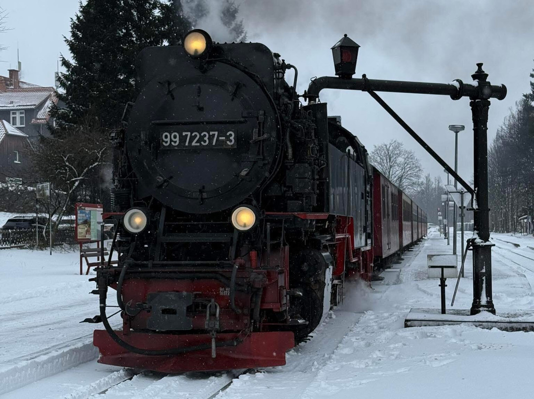 Harzer Schmalspurbahnen-韦尼格罗德必去景点