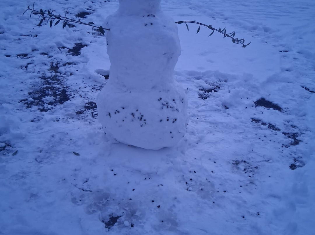 Bad Pyrmont Kurpark-Bad Pyrmont必去景点