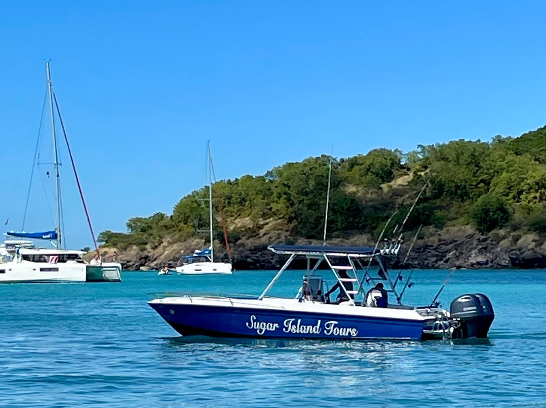 Sugar Island Tours-Jolly Harbour必去景点