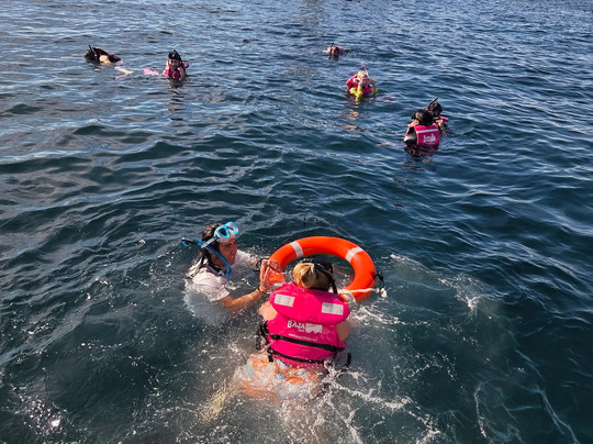 Punta Baja Tours-拉巴斯必去景点