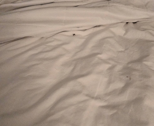 La Quinta Inn & Suites by Wyndham Baltimore N / White Marsh主图