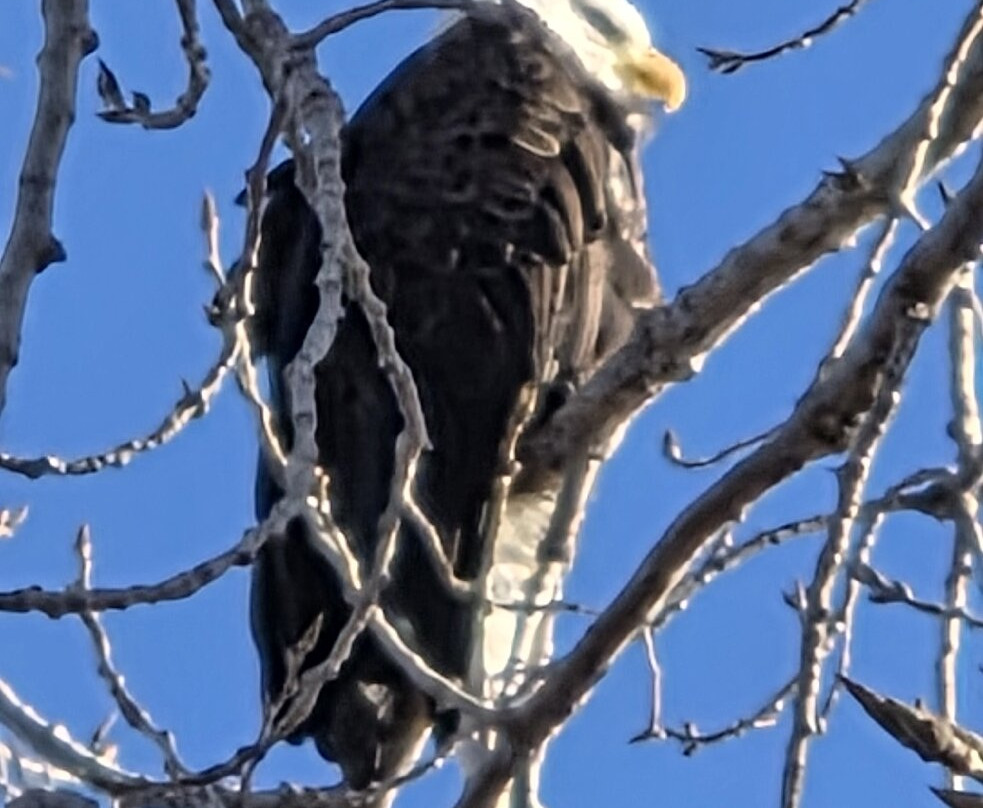 Loess Bluffs National Wildlife Refuge-Mound City必去景点