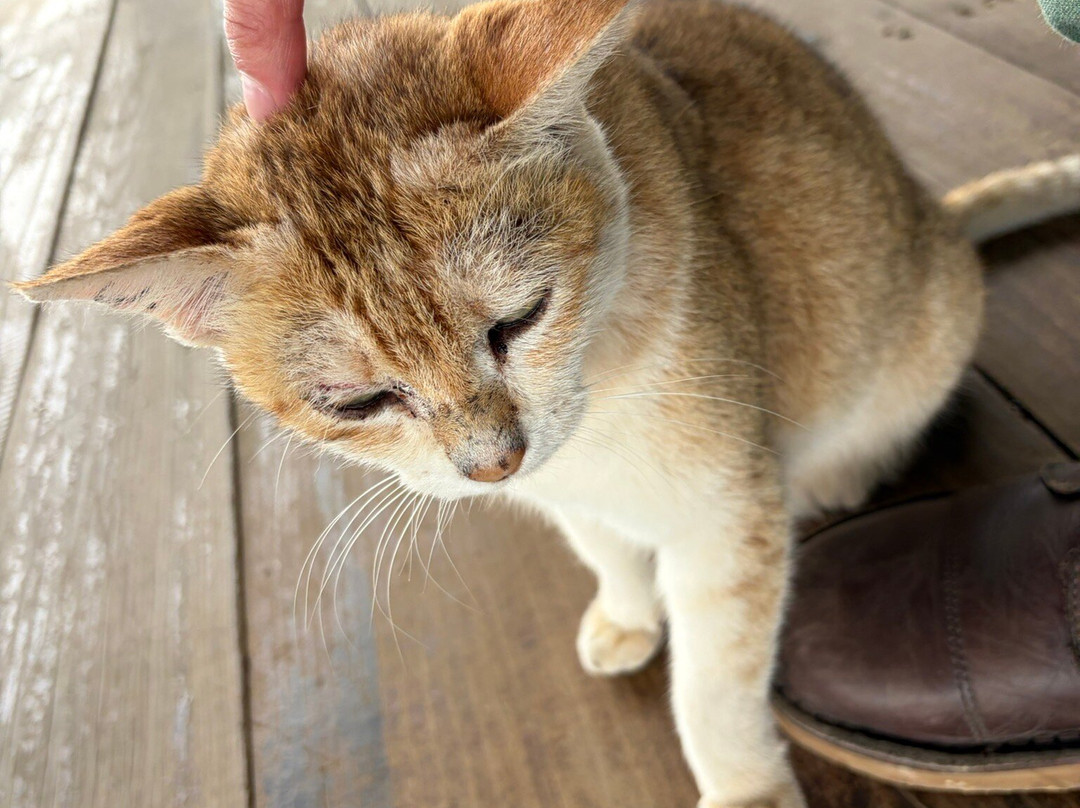 DaLat Day Tours-大勒必去景点