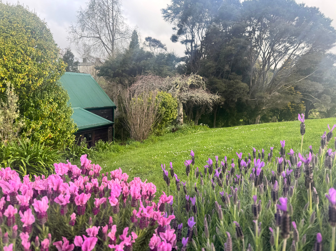 Vineyard Cottages主图