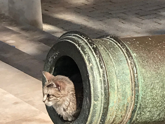 瑞波斯酒店主图