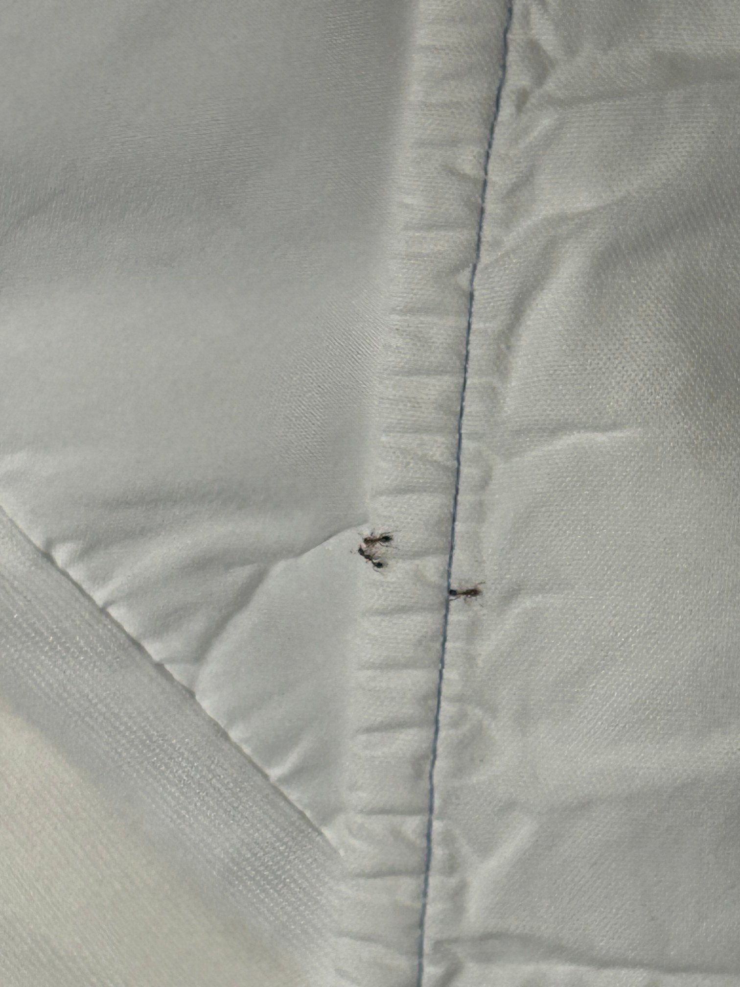 Cambria Hotel Austin Uptown Near The Domain-官方