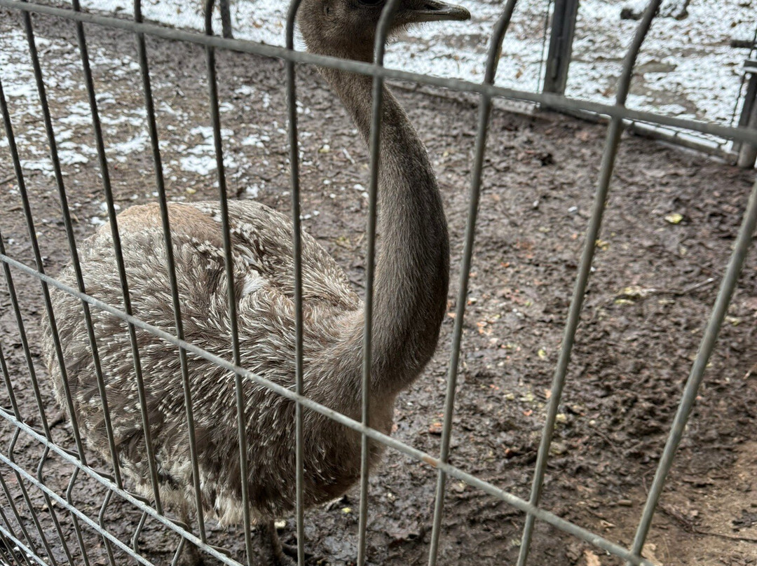 Szeged Zoo-塞格德必去景点