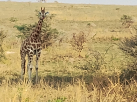 Vialey Kankou Tours-坎帕拉必去景点