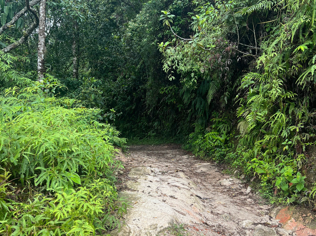 Esmeralda Ecotours San Rafael-San Rafael必去景点