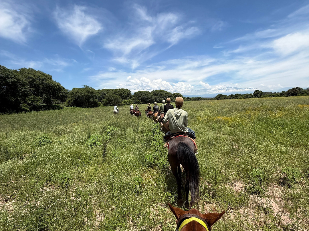 SAYTA-Chicoana必去景点